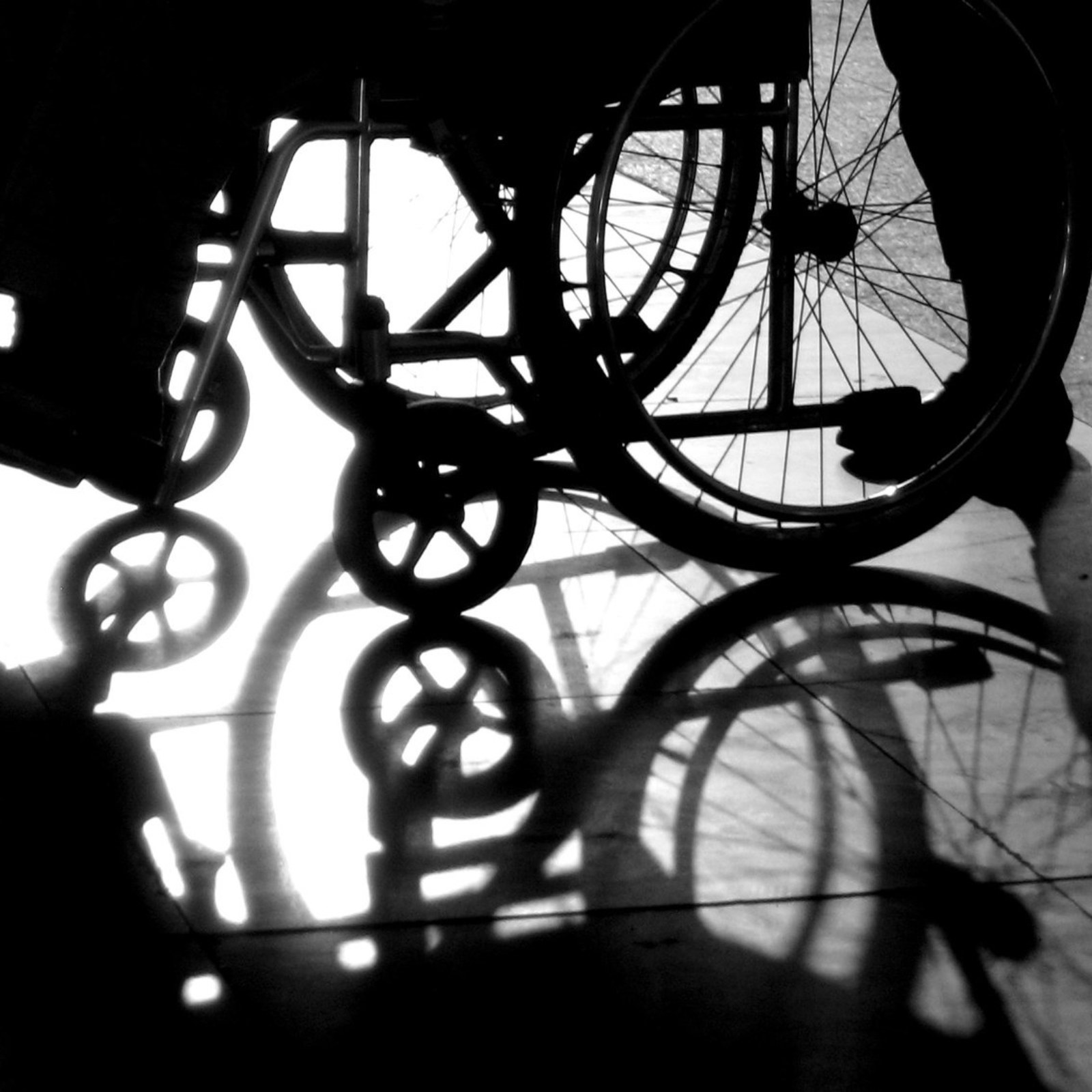 <?php echo pulse_output(); ?>